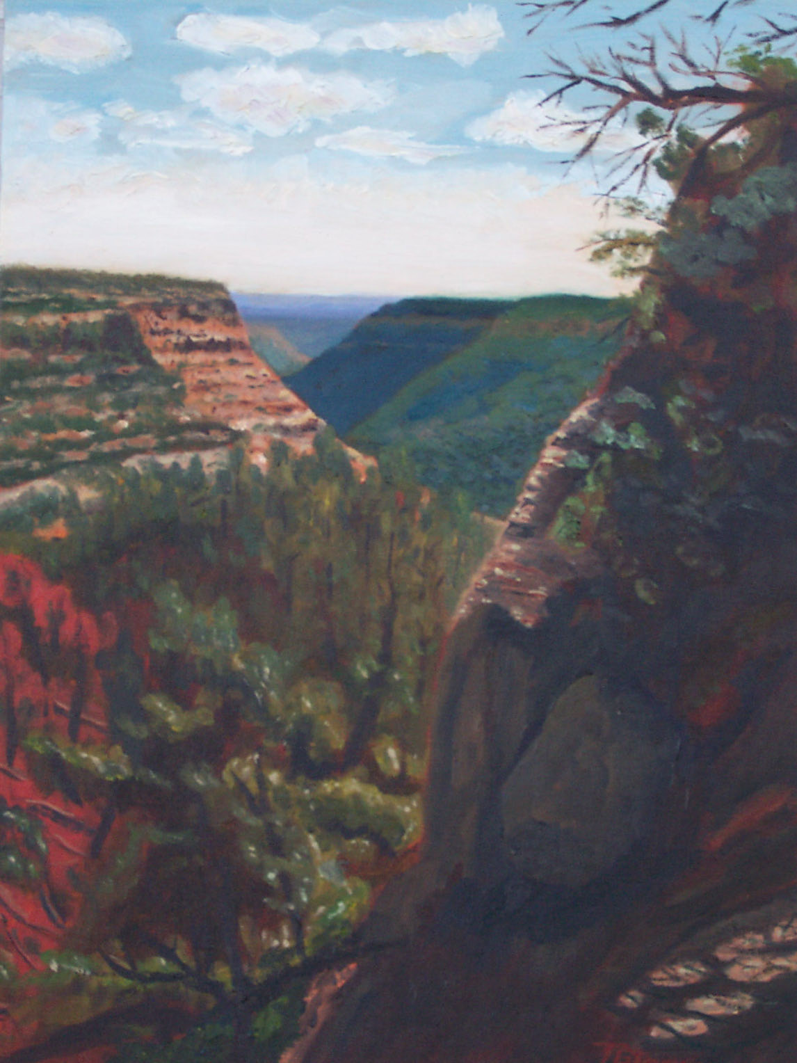 Mesa Verde Vista